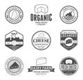 Set of Vector Cheese Labels, Icons and Design Elements