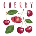 Set of vector cherries illustrations with lettering , isolated on white background.