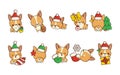 Set of Vector Christmas Corgi Dog . Collection of Kawaii Isolated Christmas Dog Art for Stickers.