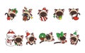 Set of Vector Christmas Siamese Cat. Collection of Kawaii Isolated Christmas Kitten Art for Stickers