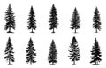 set of vector christmas tree silhouettes, traced outline, detailed silhouette of fir trees