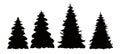 Set of vector Christmas tree silhouettes, traced outline, detailed silhouette of fir trees. Pine trees, conifers