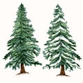 Set of vector Christmas trees green fur trees in hand drawn watercolor style for design Royalty Free Stock Photo