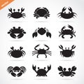 Set of vector crab icons on white background. Aquatic animals