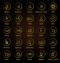 Set of vector crypto currency icons