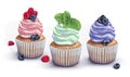 Set of vector cupcakes. A crumbly, gentle wet biscuit with a colorful soft air cream cheese ,mint-flavored, with juicy