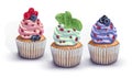 Set of vector cupcakes. A crumbly, gentle wet biscuit with a colorful soft air cream cheese ,mint-flavored, with juicy