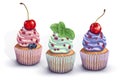 Set of vector cupcakes. A crumbly, gentle wet biscuit with a colorful soft cream cheese ,mint-flavored, with juicy fresh