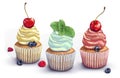 Set of vector cupcakes. A crumbly, gentle wet biscuit with a stunning colorful cream cheese ,mint-flavored, with fresh