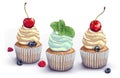 Set of vector cupcakes. A crumbly, gentle wet biscuit with a stunning soft air cream cheese ,mint-flavored, with fresh