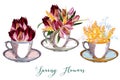 Set of vector cups with flowers