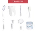 Set of vector dentistry instruments and oral care kit. Elegant simple illustrations of watercolor close-ups of tooth, floss, toot