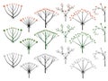 Set of vector different types of inflorescence.