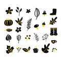 Set of vector doodle floral elements. Autumn collection. Flower graphic design. Herbs, leaves, boots, cup and wild flowers. Hand Royalty Free Stock Photo