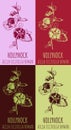 Set of vector drawing of HOLLYHOCK in various colors. Hand drawn illustration. Latin name ALCEA FICIFOLIA