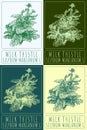 Set of vector drawing MILK THISTLE in various colors. Hand drawn illustration. The Latin name is SILYBUM MARIANUM L