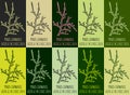 Set of vector drawing PYRUS LINNAEUS in various colors. Hand drawn illustration. The Latin name is ARONIA MELANOCARPA