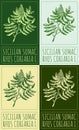 Set of vector drawing SICILIAN SUMAC in various colors. Hand drawn illustration. The Latin name is RHUS CORIARIA L