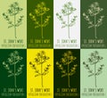 Set of vector drawing of St. Johns wort in various colors. Hand drawn illustration. Latin name Hypericum L