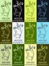 Set of vector drawing of WHORTLEBERRY in various colors. Hand drawn illustration. Latin name VACCINIUM MYRTILLUS L Royalty Free Stock Photo