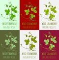 Set of vector drawing of WILD STRAWBERRY in various colors. Hand drawn illustration. Latin name FRAGARIA VESCA L