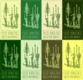 Set of vector drawings of FIELD HORSETAIL in different colors. Hand drawn illustration. Latin name EQUISETUM ARVENSE L