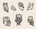 Set vector drawn owls vintage style