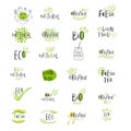 Set of vector eco, bio green logo or sign. Vegan, raw, healthy f Royalty Free Stock Photo