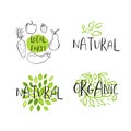 Set of 4 Vector eco, bio green logo or sign. Vegan, raw, healthy Royalty Free Stock Photo