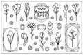 Set vector elements with flowers, frames and crystals. Logo design for flower shop, Packaging design, nail art. Minimalist