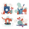 Set vector flat cartoon illustrations. Housework. Laundry, ironing, mopping. The cat helps around the house.