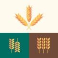 Set of vector flat design wheat, design template for organic agricultural products, harvest, grain, bakery, healthy food Royalty Free Stock Photo