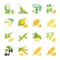 Set Vector Flat Icons of Beans and Cereals