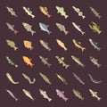 Set Vector Flat Icons of Freshwater Fish Royalty Free Stock Photo