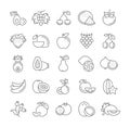 Set Vector Flat Line Icons Fruit
