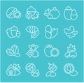 Set Vector Flat Line Icons of Nuts