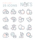 Set Vector Flat Line Icons of Nuts