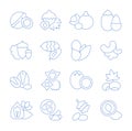 Set Vector Flat Line Icons of Nuts