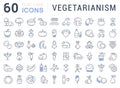 Set Vector Flat Line Icons Vegetarianism