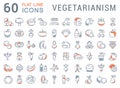 Set Vector Flat Line Icons Vegetarianism