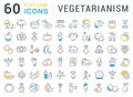 Set Vector Flat Line Icons Vegetarianism