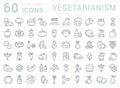 Set Vector Flat Line Icons Vegetarianism