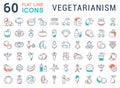 Set Vector Flat Line Icons Vegetarianism