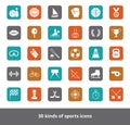 Set of vector flat web icons kinds of sports on a colored square Royalty Free Stock Photo