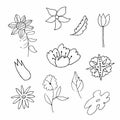 Set of vector flowers and leaves hand drawn clip art. Black line art illustration Royalty Free Stock Photo
