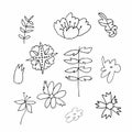 Set of vector flowers and leaves hand drawn clip art. Black line art illustration Royalty Free Stock Photo