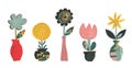 Set of vector flowers in pots with hand drawn texture. Trendy abstract design.