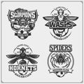 Set of vector football and soccer badges, labels and design elements. Sport club emblems with scorpion, wasp, hornet and spider.