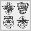 Set of vector football and soccer badges, labels and design elements. Sport club emblems with scorpion, wasp, hornet and spider.