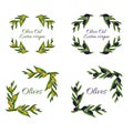 Set of vector frames of olive branches with space for text